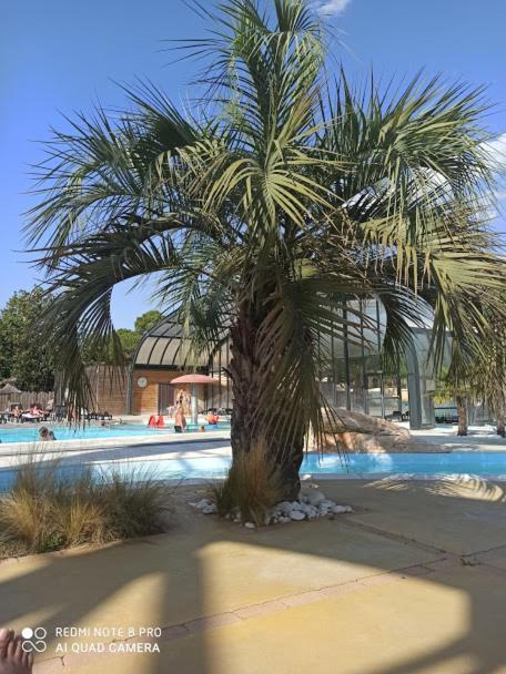 Camping La Pinede Hotel Les Mathes Exterior photo